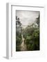 Danum Valley, Sabah, Malaysian Borneo, Malaysia, Southeast Asia, Asia-James Morgan-Framed Photographic Print