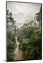 Danum Valley, Sabah, Malaysian Borneo, Malaysia, Southeast Asia, Asia-James Morgan-Mounted Photographic Print