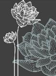 Vector Flowers over Black Background-Danussa-Art Print
