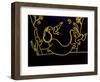 Danza la claro de luna, 1999, (oil on linen)-Cristina Rodriguez-Framed Giclee Print