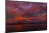 Danzante Island and Gulf of California at sunset, Baja California Sur, Mexico-Panoramic Images-Mounted Photographic Print