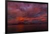 Danzante Island and Gulf of California at sunset, Baja California Sur, Mexico-Panoramic Images-Framed Photographic Print