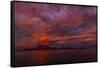 Danzante Island and Gulf of California at sunset, Baja California Sur, Mexico-Panoramic Images-Framed Stretched Canvas