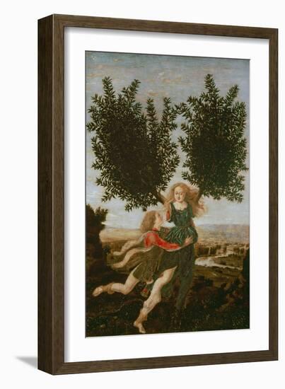 Daphne and Apollo, c.1470-80-Antonio Pollaiolo-Framed Giclee Print