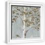White Frame