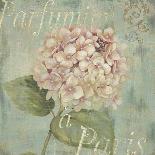 Vintage Petals IV-Daphné B.-Giclee Print