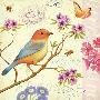 Just the Print