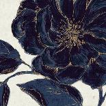 Country Poinsettias III-Daphne Brissonnet-Art Print