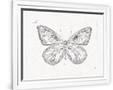Gramercy White