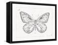 Framed Canvas
