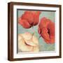 Brown Frame