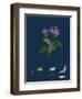 Daphne Mezereum; Mezereon-null-Framed Giclee Print