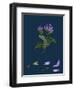 Daphne Mezereum; Mezereon-null-Framed Giclee Print