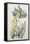 Daphne-Joan Thewsey-Framed Stretched Canvas