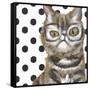 Dapper Animal IX-null-Framed Stretched Canvas