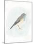 Dapper Bird I-June Vess-Mounted Art Print