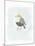 Dapper Bird II-June Vess-Mounted Art Print