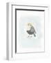 Dapper Bird II-June Vess-Framed Art Print