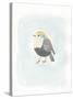 Dapper Bird II-June Vess-Stretched Canvas