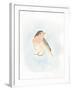 Dapper Bird III-June Vess-Framed Art Print