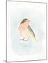 Dapper Bird III-June Vess-Mounted Art Print