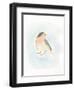 Dapper Bird III-June Vess-Framed Art Print