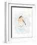 Dapper Bird III-June Vess-Framed Art Print