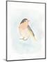Dapper Bird III-June Vess-Mounted Art Print