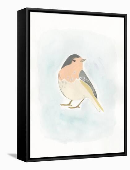 Dapper Bird III-June Vess-Framed Stretched Canvas