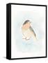 Dapper Bird III-June Vess-Framed Stretched Canvas