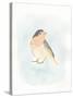 Dapper Bird III-June Vess-Stretched Canvas