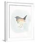 Dapper Bird IV-June Vess-Framed Art Print
