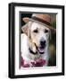 Dapper Dog-Susan Bryant-Framed Art Print