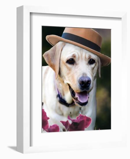 Dapper Dog-Susan Bryant-Framed Art Print