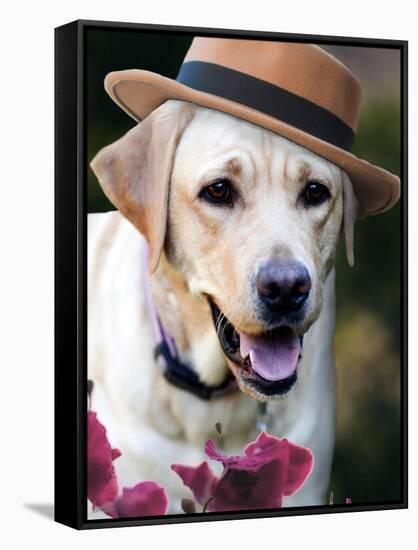 Dapper Dog-Susan Bryant-Framed Stretched Canvas