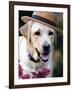 Dapper Dog-Susan Bryant-Framed Art Print