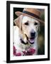 Dapper Dog-Susan Bryant-Framed Art Print