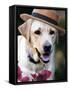 Dapper Dog-Susan Bryant-Framed Stretched Canvas