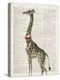 Dapper Giraffe-Christopher James-Stretched Canvas