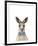 Dapper Kangaroo-Marco Simoni-Framed Giclee Print