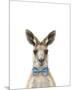 Dapper Kangaroo-Marco Simoni-Mounted Giclee Print