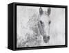 Dapple Horse I-Irena Orlov-Framed Stretched Canvas