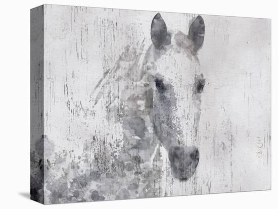 Dapple Horse I-Irena Orlov-Stretched Canvas