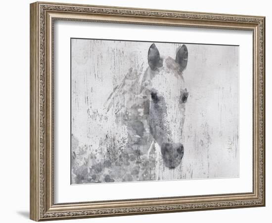 Dapple Horse I-Irena Orlov-Framed Art Print