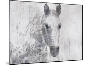 Dapple Horse I-Irena Orlov-Mounted Art Print