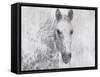 Dapple Horse I-Irena Orlov-Framed Stretched Canvas