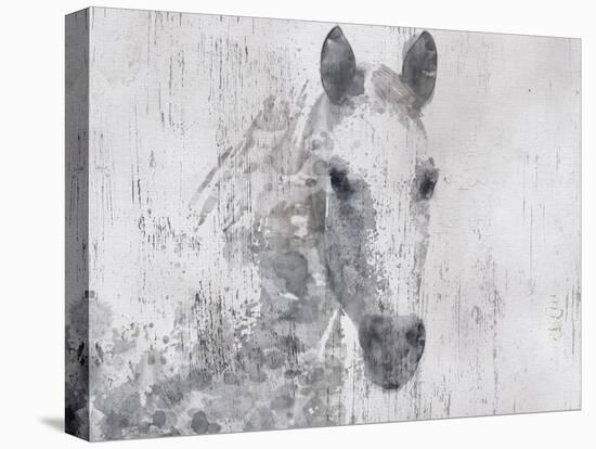 Dapple Horse I-Irena Orlov-Stretched Canvas