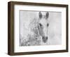 Dapple Horse I-Irena Orlov-Framed Art Print