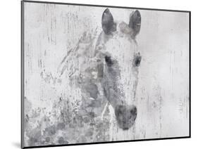 Dapple Horse I-Irena Orlov-Mounted Art Print