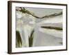 Dapple-Beth Wintgens-Framed Giclee Print